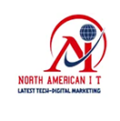 logo-north-american-i-t
